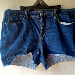 Torrid shorts